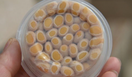 纳豆怎么做视频教程,家常美味轻松学