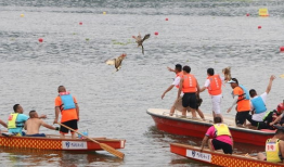 赛龙舟视频,共赏竞技风采